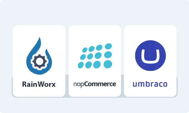 Application platform customization services