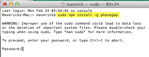 npm install phonegap