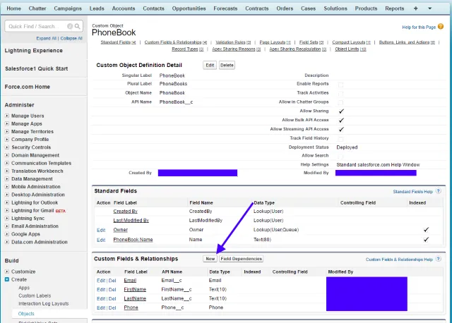 Salesforce - Custom Fields and Relationships